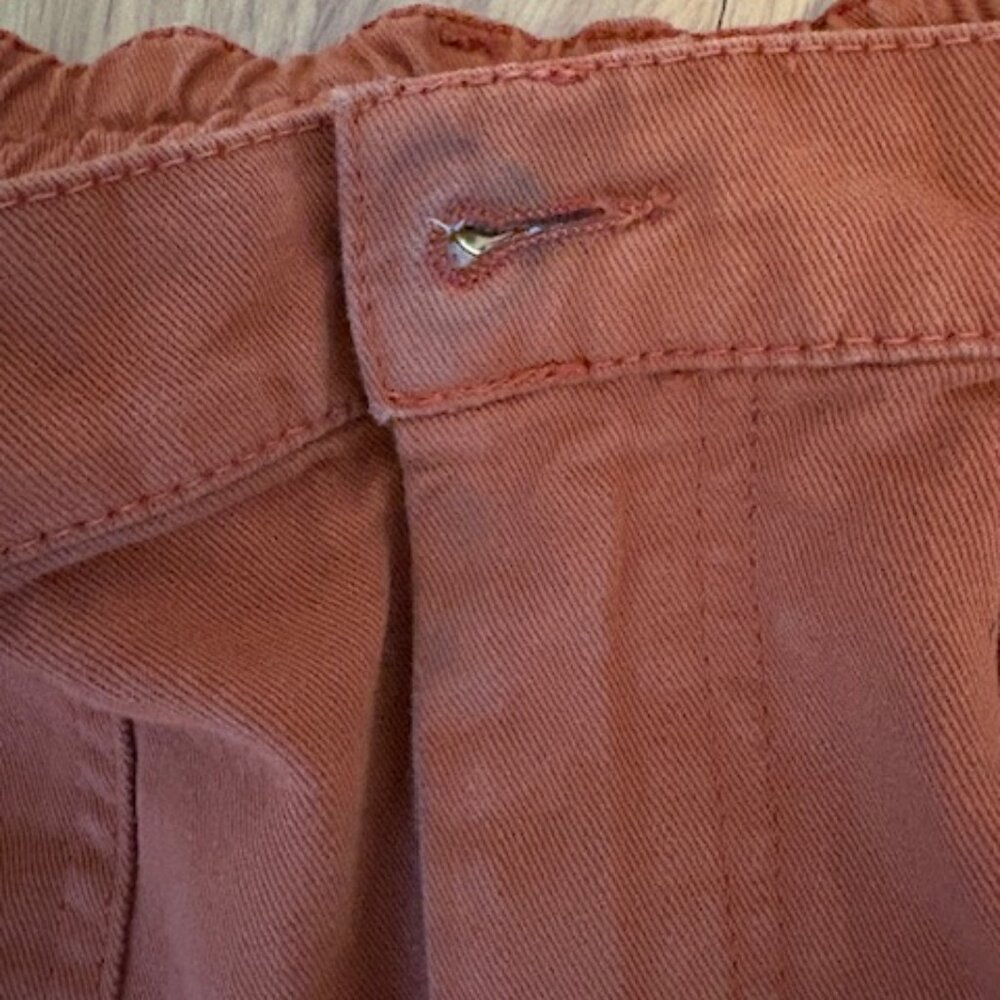 Big Bud Press Rust Orange Work Pants - Picture 7 of 8
